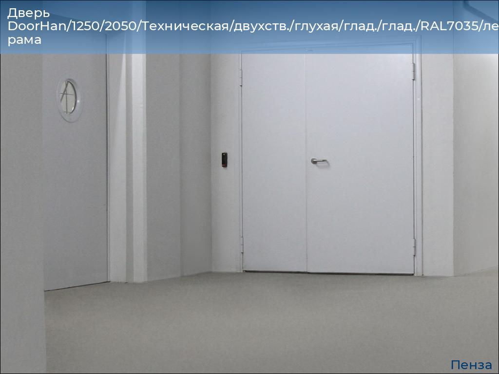 Дверь DoorHan/1250/2050/Техническая/двухств./глухая/глад./глад./RAL7035/лев./угл. рама, penza.doorhan.ru
