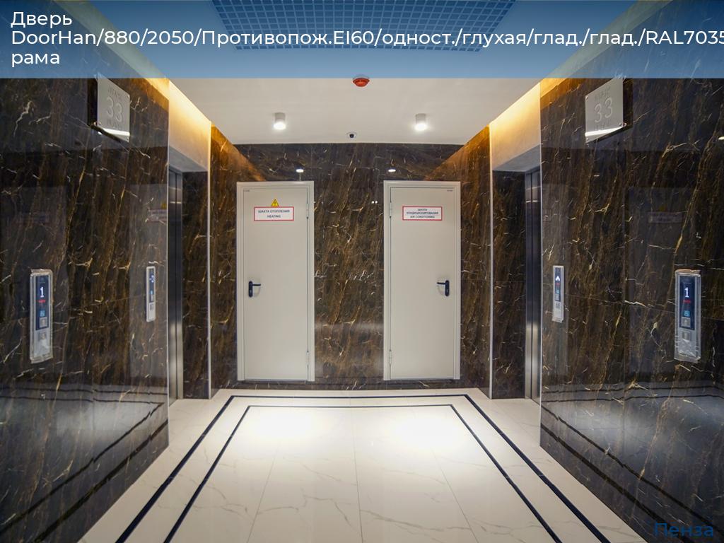Дверь DoorHan/880/2050/Противопож.EI60/одност./глухая/глад./глад./RAL7035/лев./угл. рама, penza.doorhan.ru