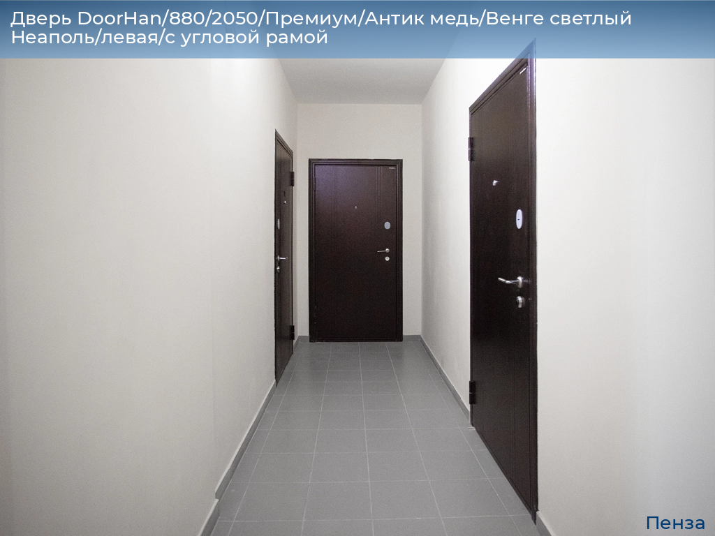 Дверь DoorHan/880/2050/Премиум/Антик медь/Венге светлый Неаполь/левая/с угловой рамой, penza.doorhan.ru